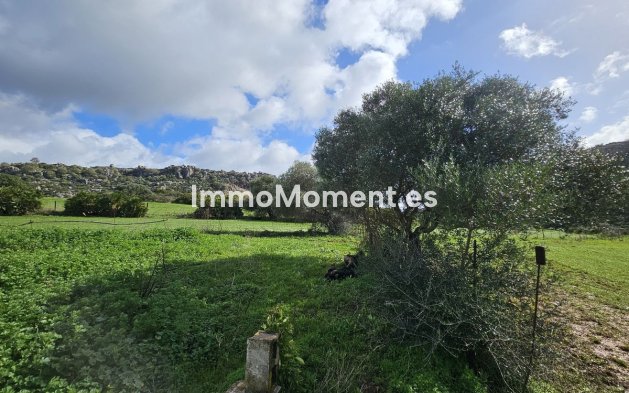 Revente - Villa - Casares - Casares Centro