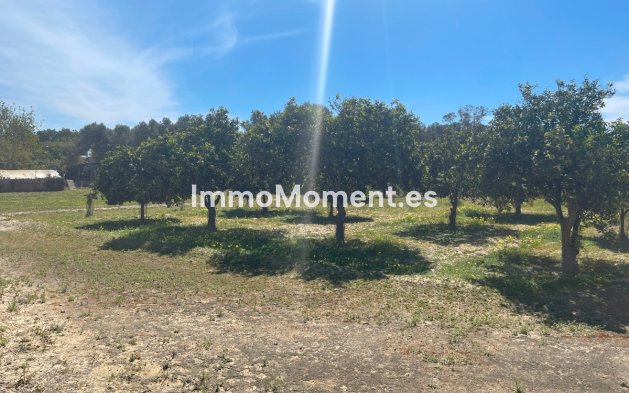 Revente - Villa - Guardamar del Segura - Guardamar del Segura Centro