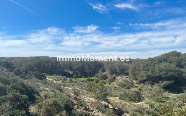 Revente - Villa - Guardamar del Segura - Guardamar del Segura Centro