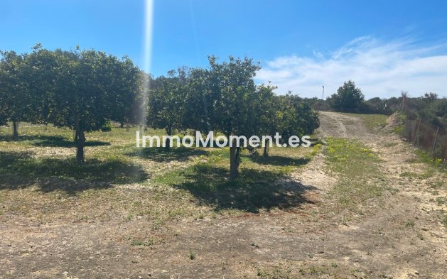 Revente - Villa - Guardamar del Segura - Guardamar del Segura Centro