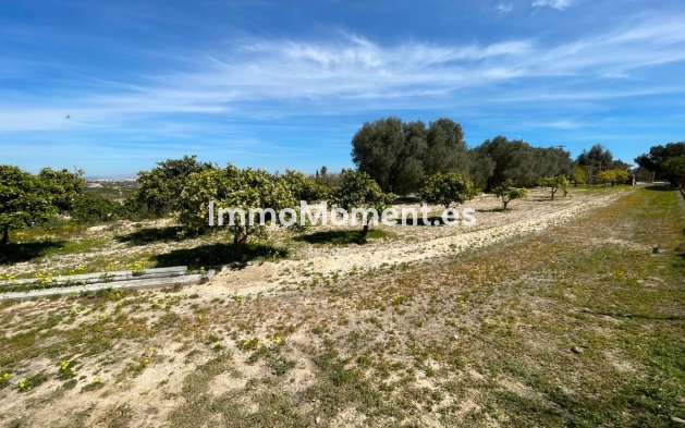 Revente - Villa - Guardamar del Segura - Guardamar del Segura Centro