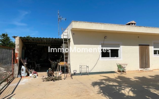 Revente - Villa - Crevillente - Crevillente - Crevillent Centro