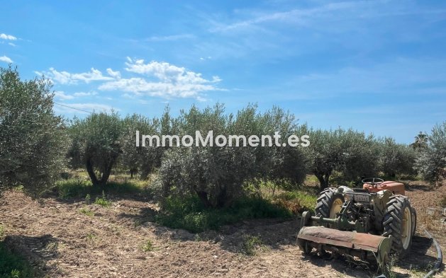 Revente - Villa - Crevillente - Crevillente - Crevillent Centro