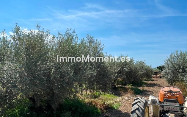 Revente - Villa - Crevillente - Crevillente - Crevillent Centro