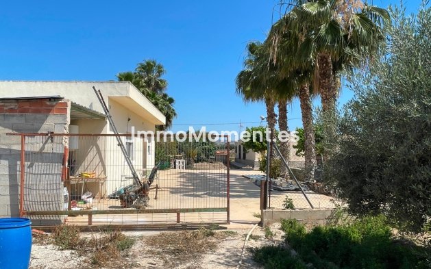 Revente - Villa - Crevillente - Crevillente - Crevillent Centro