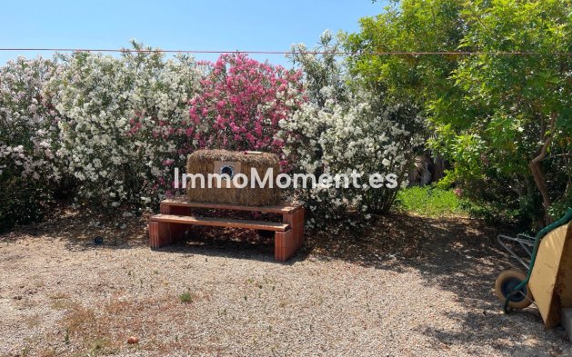 Revente - Villa - Daya Nueva - Daya Nueva Centro