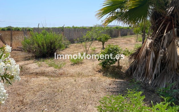 Revente - Villa - Daya Nueva - Daya Nueva Centro