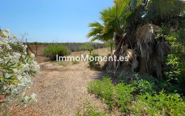 Revente - Villa - Daya Nueva - Daya Nueva Centro