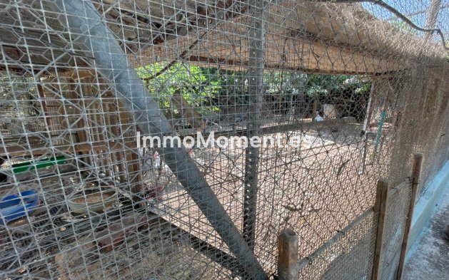 Bestaande woning - Villa - San Fulgencio - La Marina