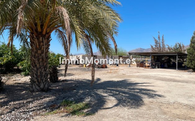 Revente - Villa - Crevillente - Crevillente - Crevillent Centro