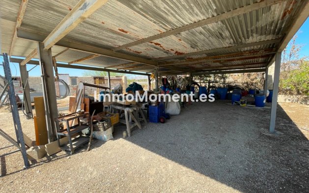 Revente - Villa - Crevillente - Crevillente - Crevillent Centro