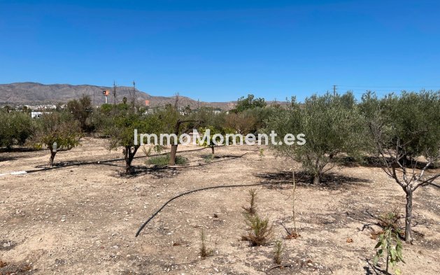 Revente - Villa - Crevillente - Crevillente - Crevillent Centro