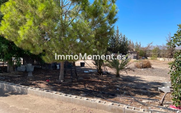 Revente - Villa - Crevillente - Crevillente - Crevillent Centro