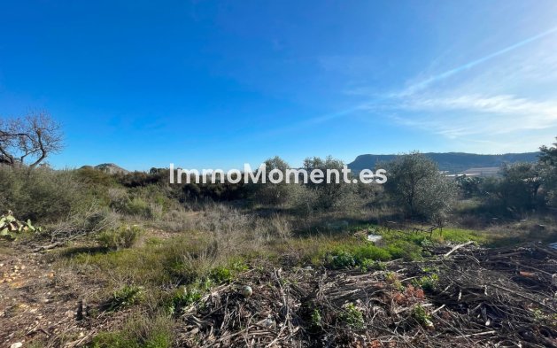 Revente - Maison de campagne - Aspe - Aspe Centro