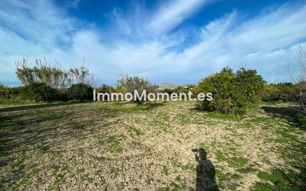 Wiederverkauf - Villa - Benejúzar - Benejuzar Centro