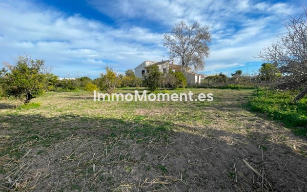 Wiederverkauf - Villa - Benejúzar - Benejuzar Centro