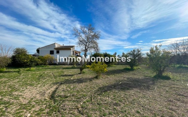 Wiederverkauf - Villa - Benejúzar - Benejuzar Centro