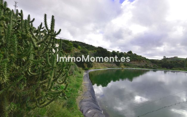 Bestaande woning - Landhuis - Mijas - Mijas Centro