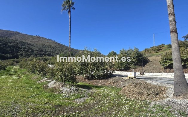 Bestaande woning - Landhuis - Mijas - Mijas Centro