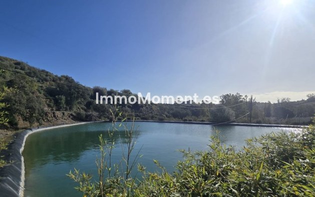 Bestaande woning - Landhuis - Mijas - Mijas Centro