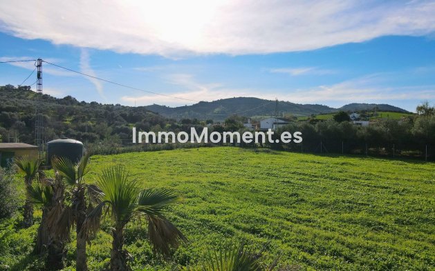 Revente - Maison de campagne - Intérieur                       - Coín