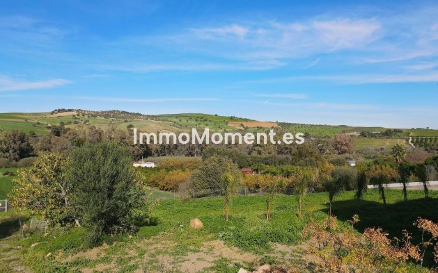 Revente - Maison de campagne - Intérieur                       - Coín