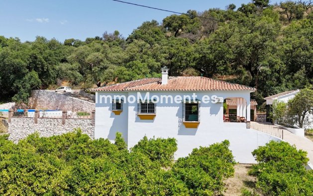 Revente - Villa - Intérieur                       - Alhaurín el Grande Centro