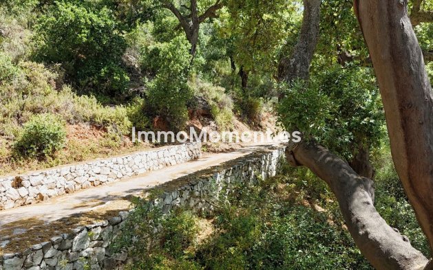 Revente - Villa - Intérieur                       - Alhaurín el Grande Centro