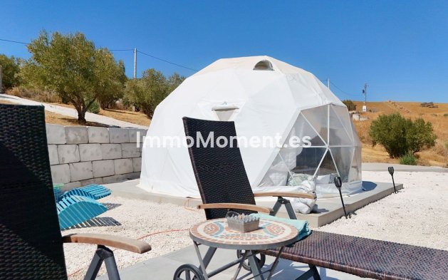 Revente - Villa - Intérieur                       - Coín