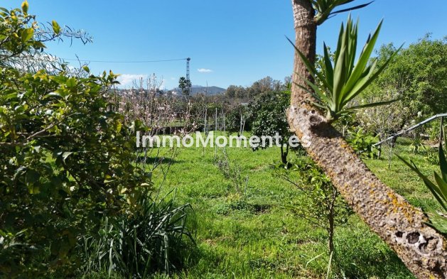 Revente - Villa - Intérieur                       - Coín