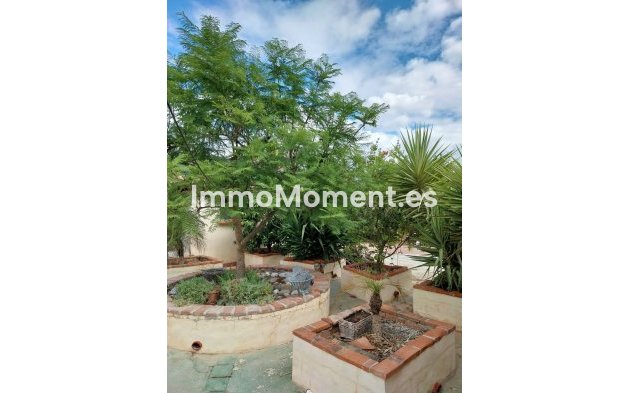 Revente - Maison de campagne - Intérieur                       - Cártama Centro