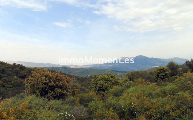 Revente - Maison de campagne - Intérieur                       - Monda