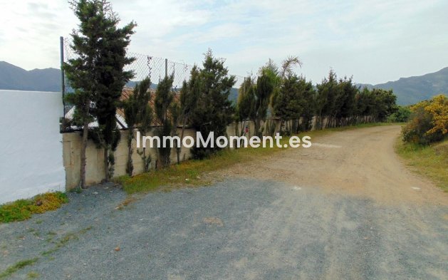 Revente - Maison de campagne - Intérieur                       - Monda