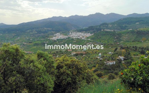 Revente - Maison de campagne - Intérieur                       - Monda