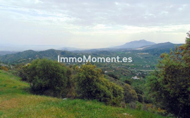 Revente - Maison de campagne - Intérieur                       - Monda