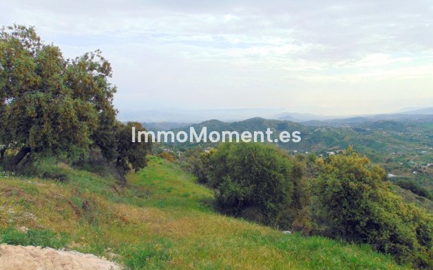 Revente - Maison de campagne - Intérieur                       - Monda