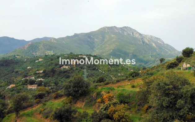 Revente - Maison de campagne - Intérieur                       - Monda
