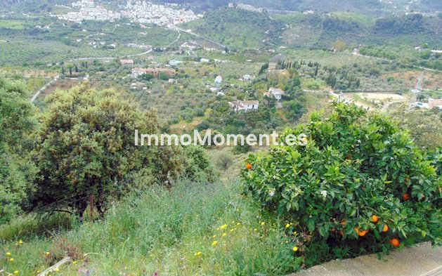 Revente - Maison de campagne - Intérieur                       - Monda