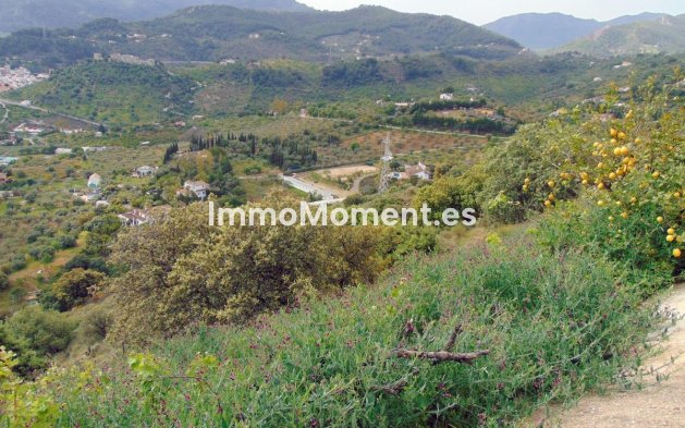 Revente - Maison de campagne - Intérieur                       - Monda