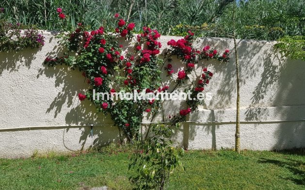 Wiederverkauf - Villa - Estepona  - New Golden Mile