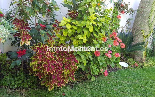 Wiederverkauf - Villa - Estepona  - New Golden Mile