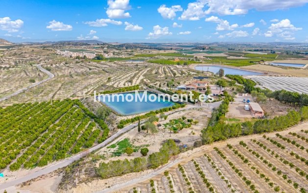Wiederverkauf - Landhaus - Orihuela - Torremendo