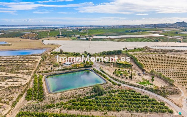 Wiederverkauf - Landhaus - Orihuela - Torremendo