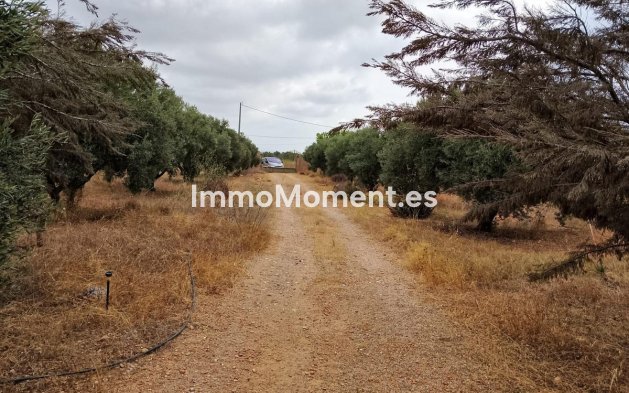 Resale - Country house - Cartagena - La Magdalena