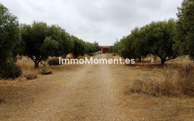 Resale - Country house - Cartagena - La Magdalena