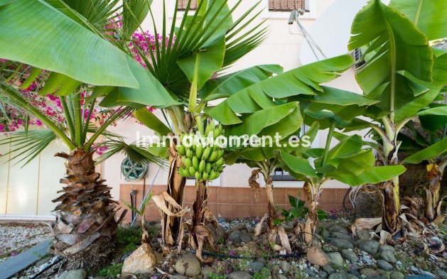 Bestaande woning - Villa - Estepona  - Estepona Centro