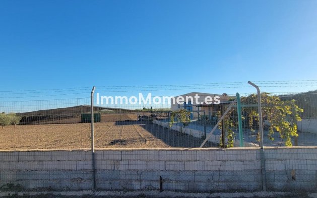 Revente - Maison de campagne - San Miguel de Salinas - San Miguel de Salinas Centro