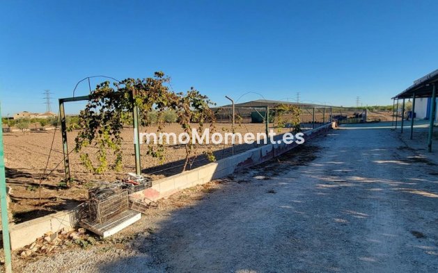 Revente - Maison de campagne - San Miguel de Salinas - San Miguel de Salinas Centro