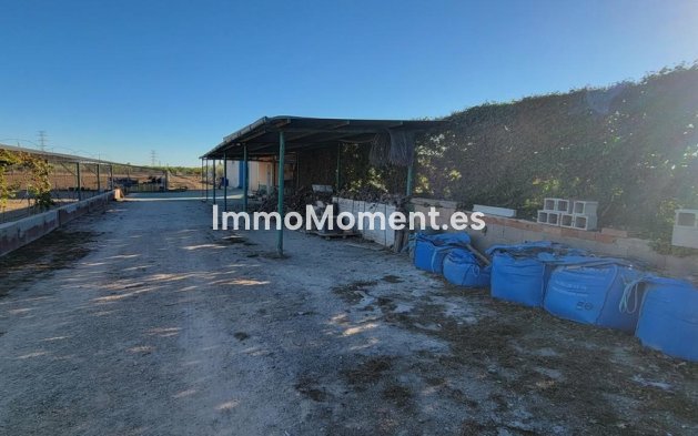 Revente - Maison de campagne - San Miguel de Salinas - San Miguel de Salinas Centro