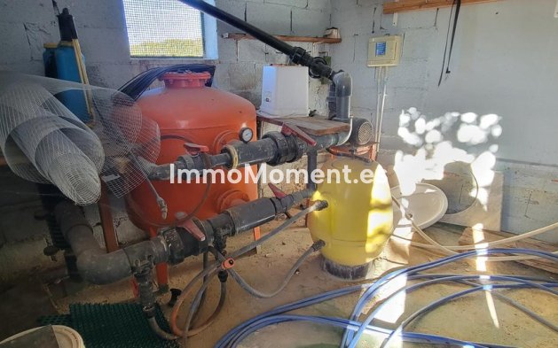 Revente - Maison de campagne - San Miguel de Salinas - San Miguel de Salinas Centro